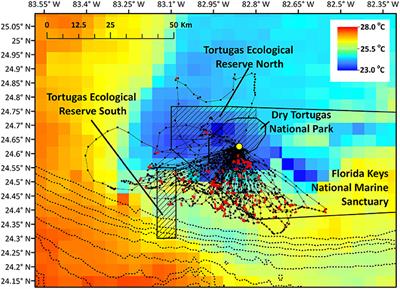 Potential Benefits and Shortcomings of Marine Protected Areas for Small Seabirds Revealed Using Miniature Tags